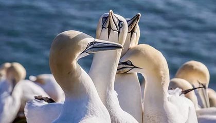 乐鱼体育官网：与你携手书写体育热潮的新篇章