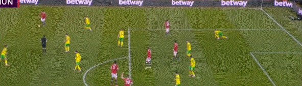 动画 (391).gif